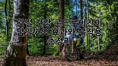 관절 건강, 콘드로이친이 답일까요? 효과와 부작용 총정리!
