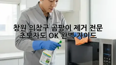 창원 의창구 곰팡이 제거 전문🛠️ 초보자도 OK 완벽 가이드✨